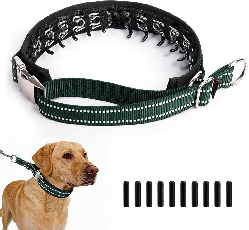 Coleira de Pinos Ocultos para Cães Pudiwind, Design Martingale Ajustável, Forest Green