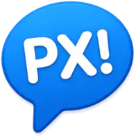 Perfect Viewer X