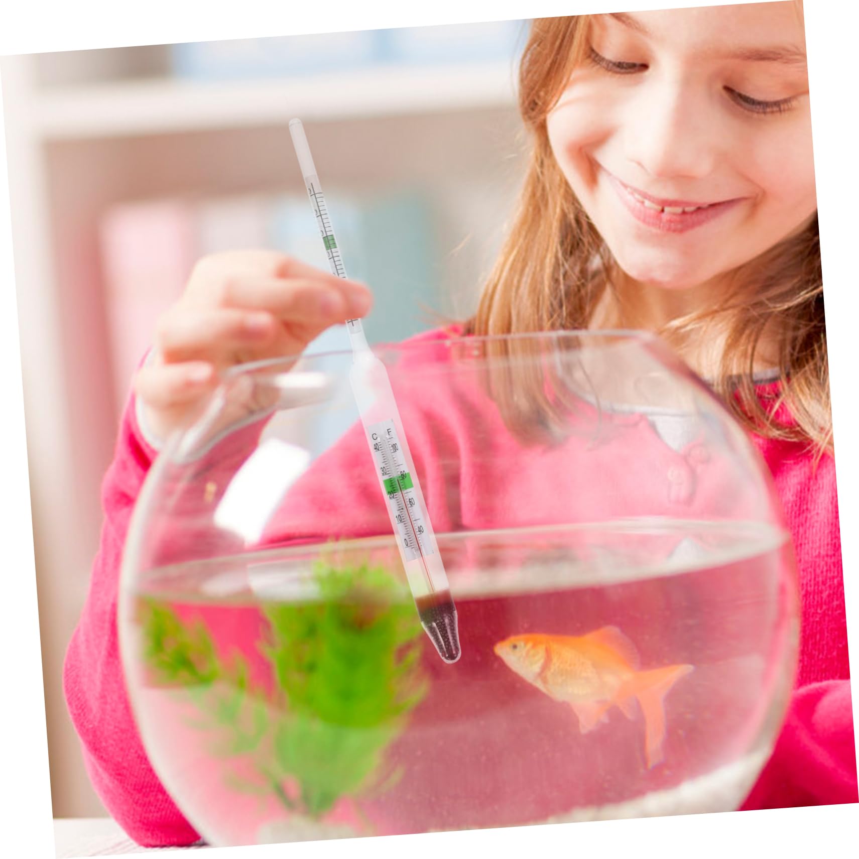 OSOLADY Glass Meter for Aquarium Densitometer Sea Water Testing Tool Fish Tank Hydrometer Set