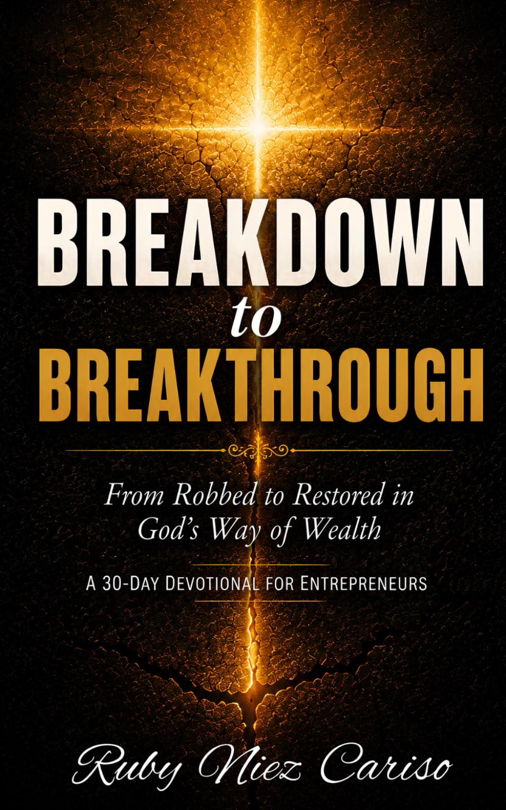 Breakdown to Breakthrough: From Robbed to Restored in God’s Way of Wealth: A 30-Day Devotional for Entrepreneurs