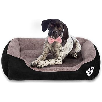 heated dog bed for car