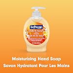 Softsoap Moisturizing Liquid Hand Soap Pump, Milk and Honey - 221ml (Case Pack of 6)