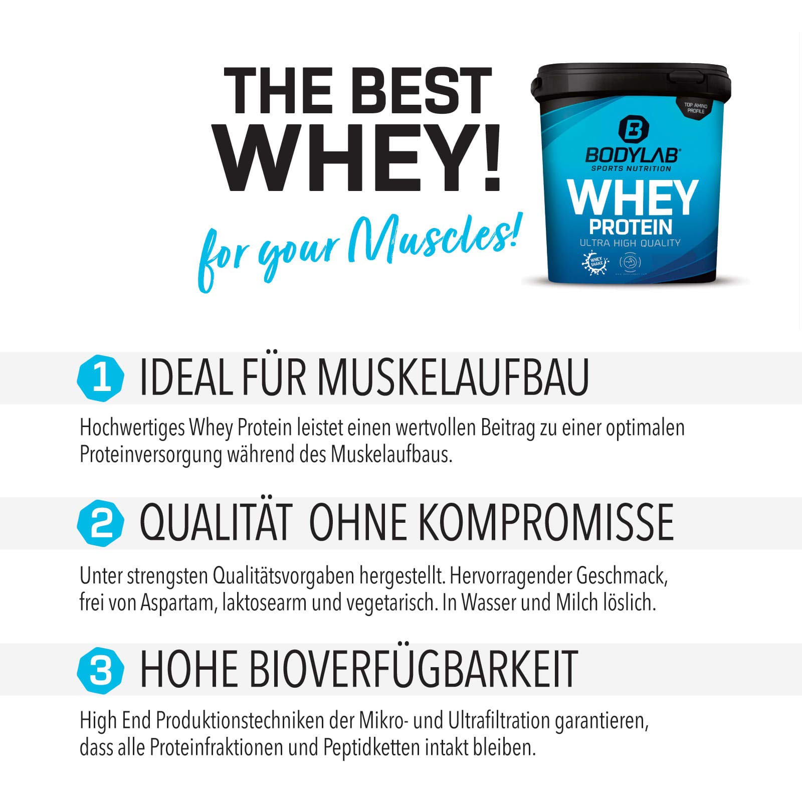 Bodylab24 Megadeal Basic Aufbau, Whey Protein Cookies & Cream, Creatine Monohydrate + Shaker für Kraftsport und Fitness, kann den Aufbau und Erhalt von Muskelmasse unterstützen