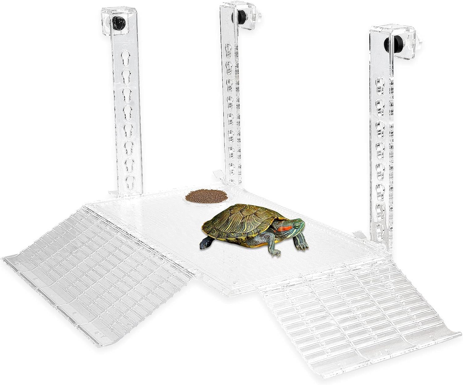 Schildkröten-Aquarium-Lebensraum, groß