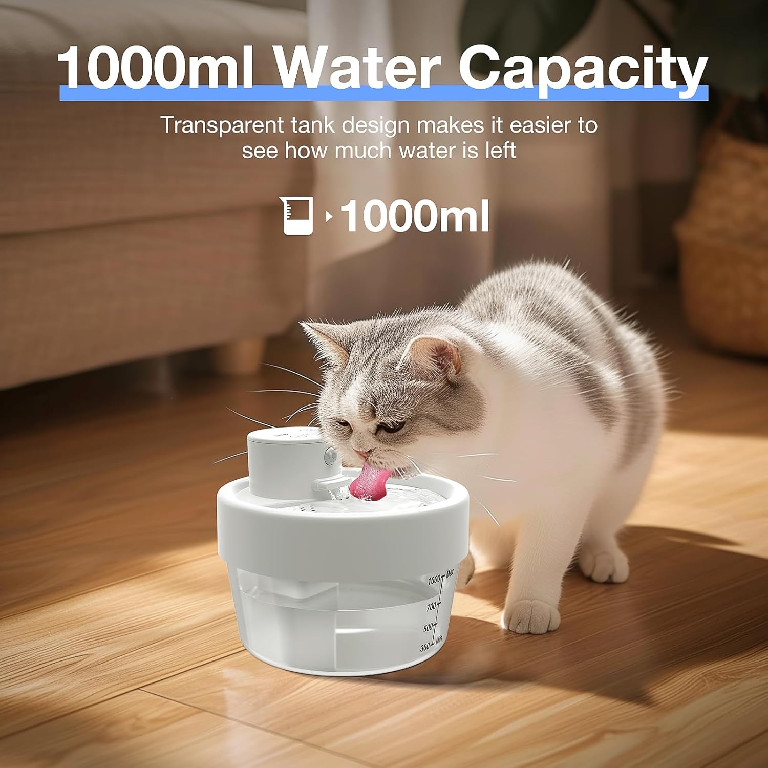 https://m.media-amazon.com/images/I/71nn1ANXz6L._AC_SL1500_.jpg