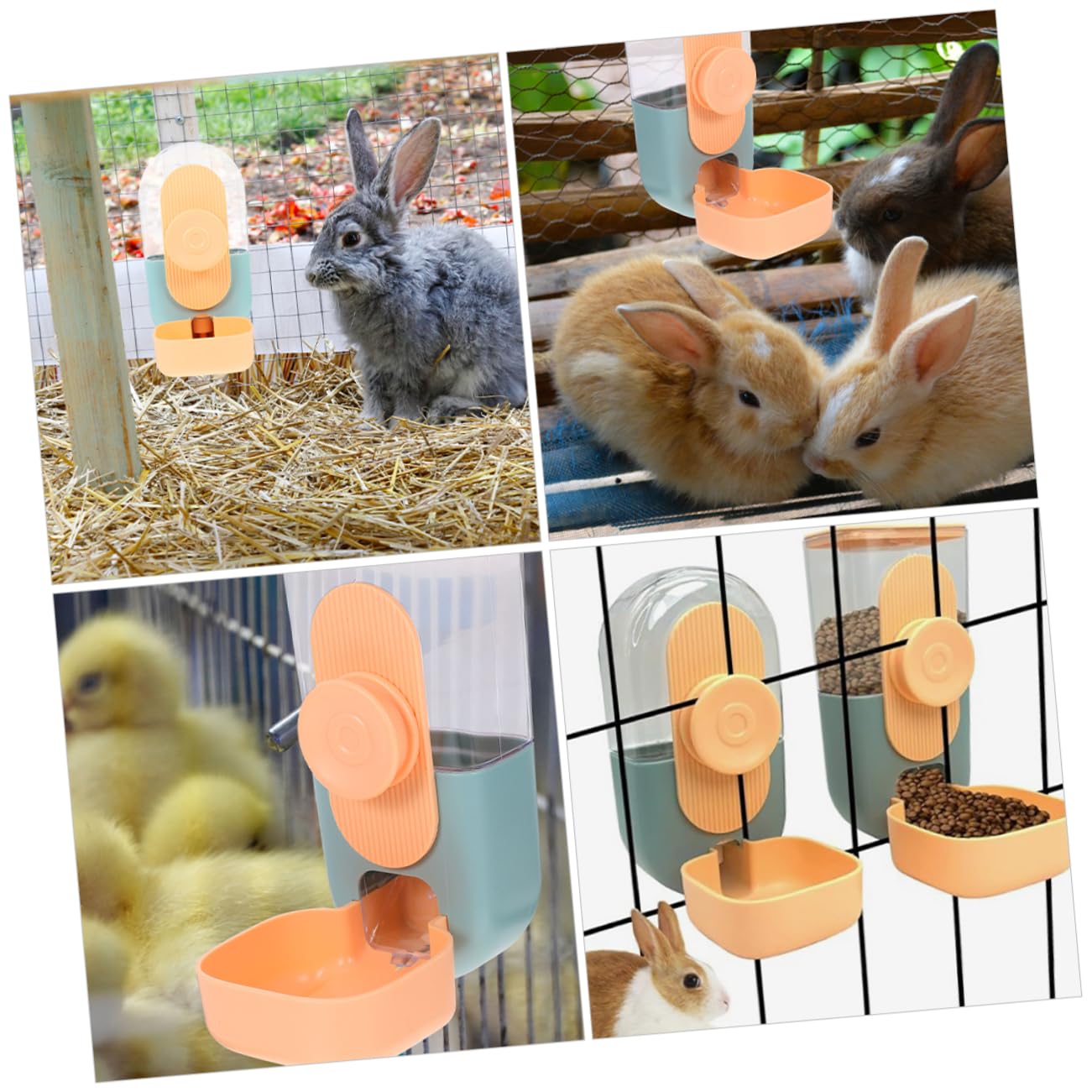 Distributore Automatico di Cibo e Acqua Sospeso in Plastica 2 Pezzi | Cavia, Erogazione Automatica Quotidiana, Design Appeso Versatile, Uso per Pet Piccoli