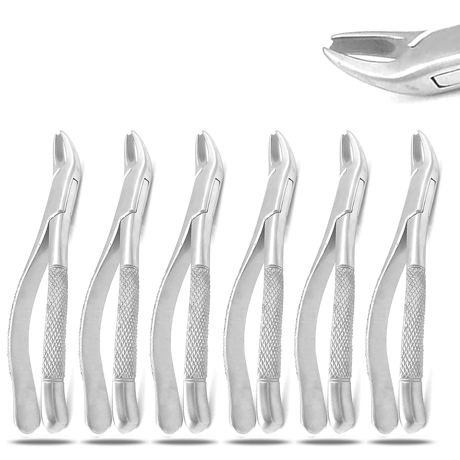 PRECISE CANADA: Set of 6 Dental EXTRACTING Forceps #89 Dental Extraction Instruments