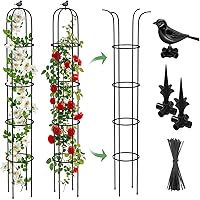 6.2ft Rustproof Metal Garden Obelisk Trellis for Climbing Plants, Vines, Tomatoes, Clematis & Jasmine - Indoor/Outdoor Potted Support