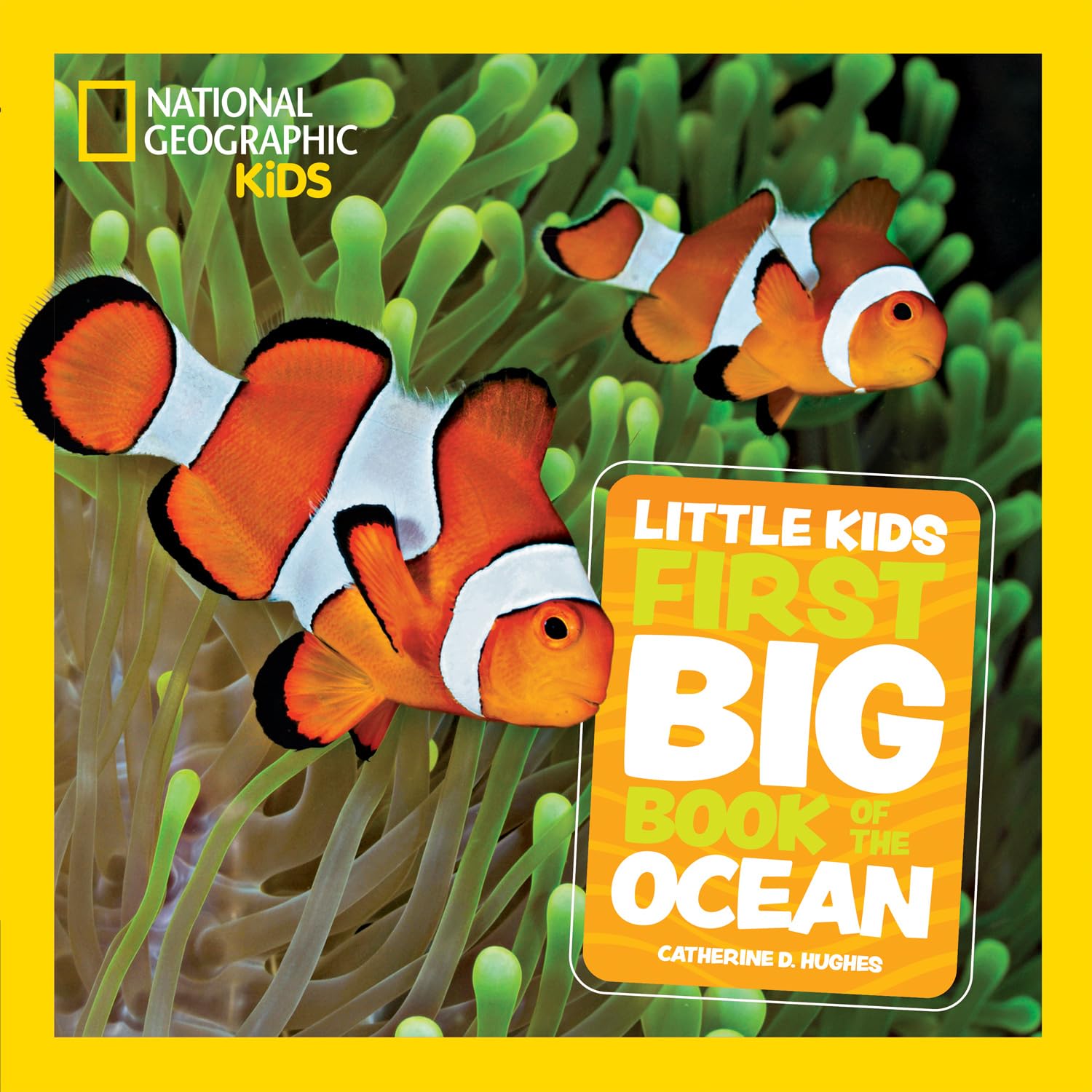 Little Kids First Big Book of The Ocean: Fact-filled fun book about amazing sea life and underwater wonders (National Geographic Kids)
