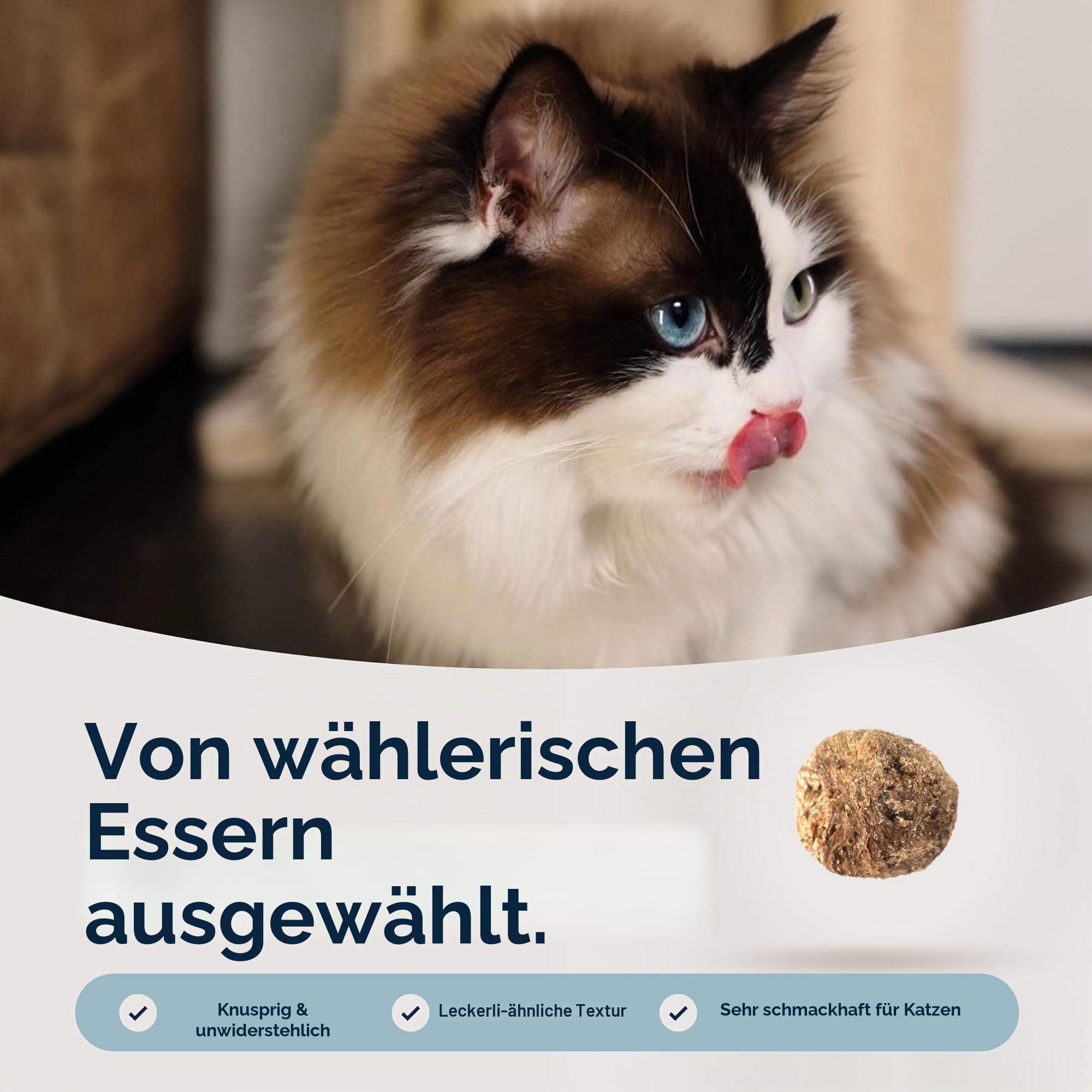 ZIWI Peak Steam & Getrocknetes Käfigfreies Huhn mit ganzer Makrele, 2,2 kg – Natürliches, proteinreiches Katzenfutter trocken, Rohe Alternative & getreidefreies komplettes Trockenfutter für Katzen