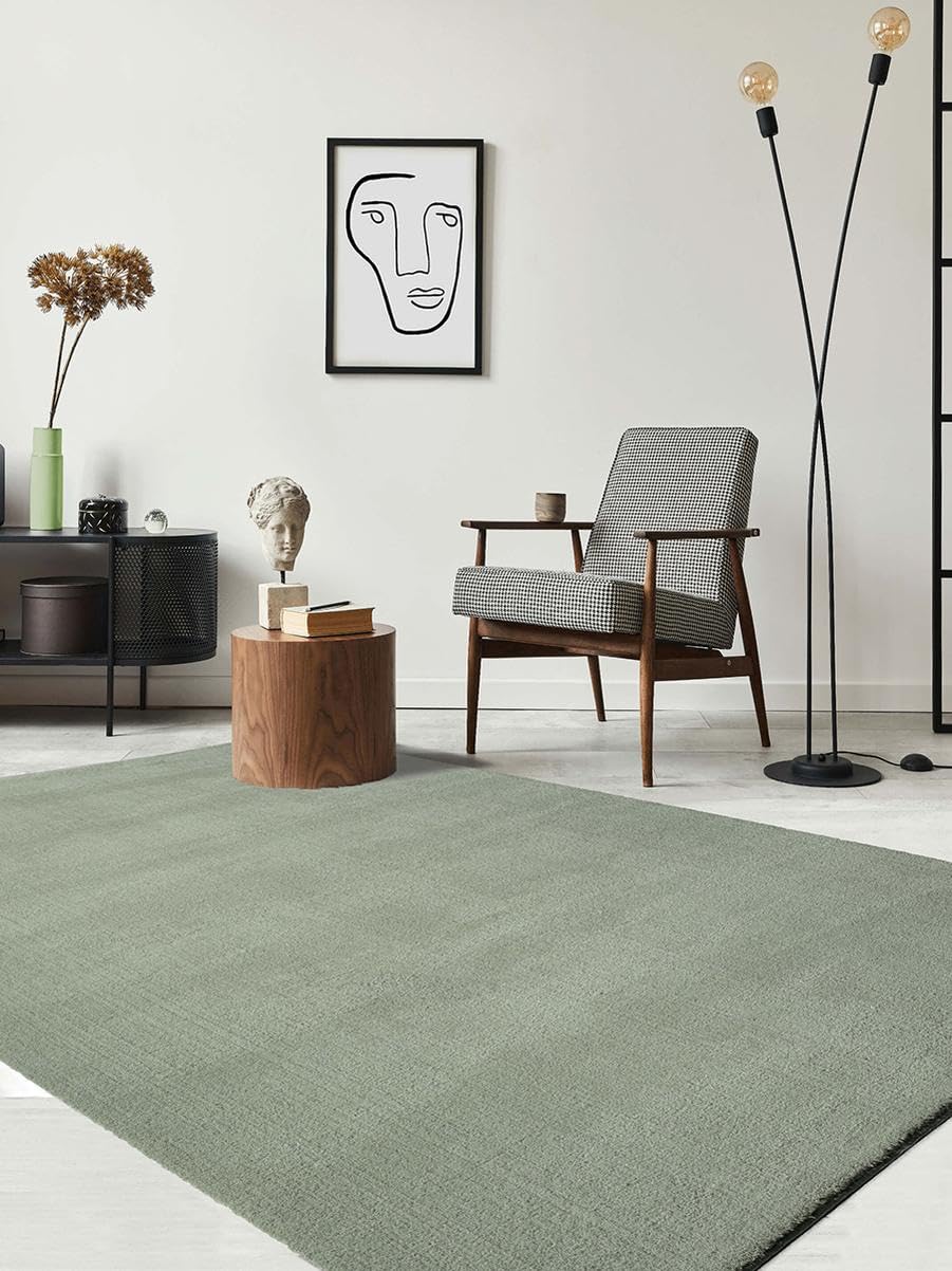 the carpet Relax Moderner Flauschiger Kurzflor Teppich, Anti-Rutsch Unterseite, Waschbar bis 30 Grad, Super Soft, Felloptik, Grün, 300 x 400 cm – Amazon Angebot