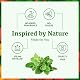 SVA Oregano Essential Oil, Huge Bottle, Large Size, 16 Fl Oz (473 ml) Product Image 4