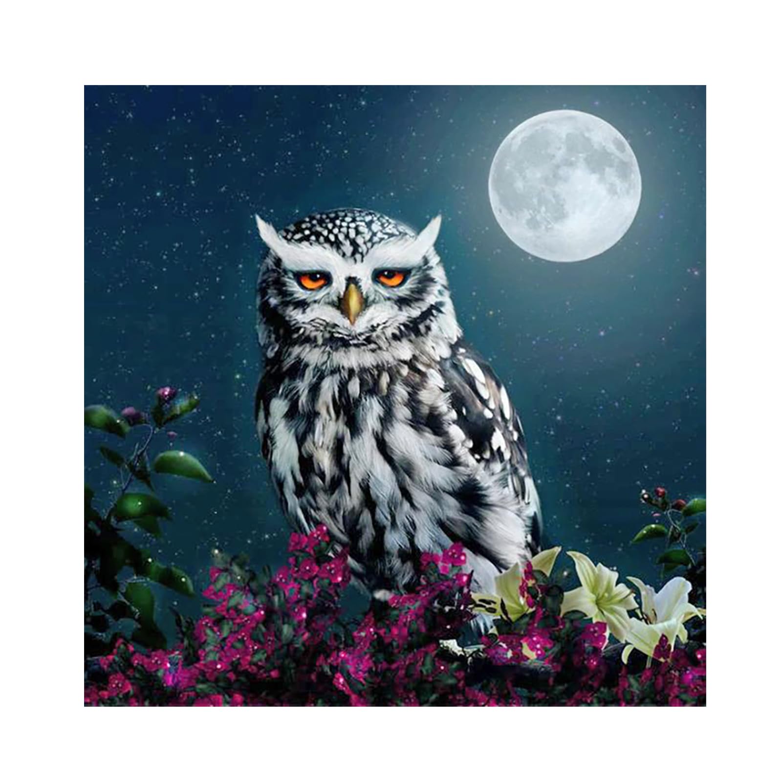 SHEGZHUC 40 x 40 cm pintura de diamante búho pintura de diamantes flores luna diamante cuadros búho pintura diamante imágenes animales pintura diamante arte bordado punto de cruz imágenes regalo