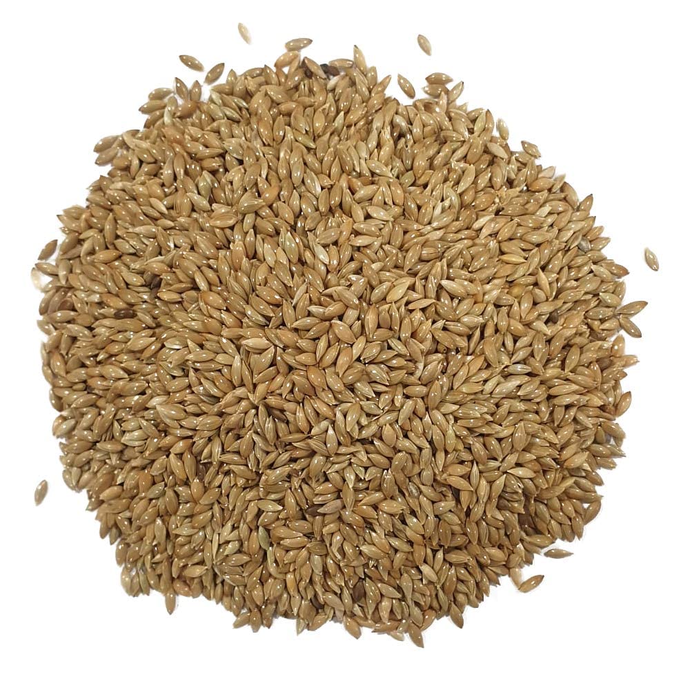 Alpiste Canadiense para pájaros. Apta para verderones, jilgueros, Canarios, pinzones, diamentes, periquitos y Otras Aves Silvestres. Sunseed 2.5 Kg