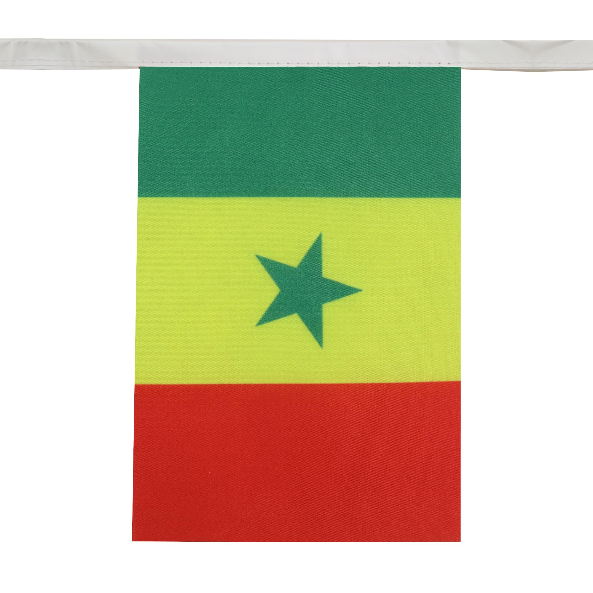 AZ FLAG Senegal Bunting Flag, 20 Ft Garland with 20 Small Senegalese Flags 8'' x 6'', 100% Polyester String Pennant, 6 meters — view 2
