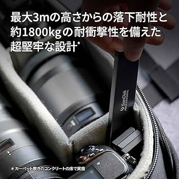 Amazon | サンディスクプロフェッショナル 外付け ポータブルSSD