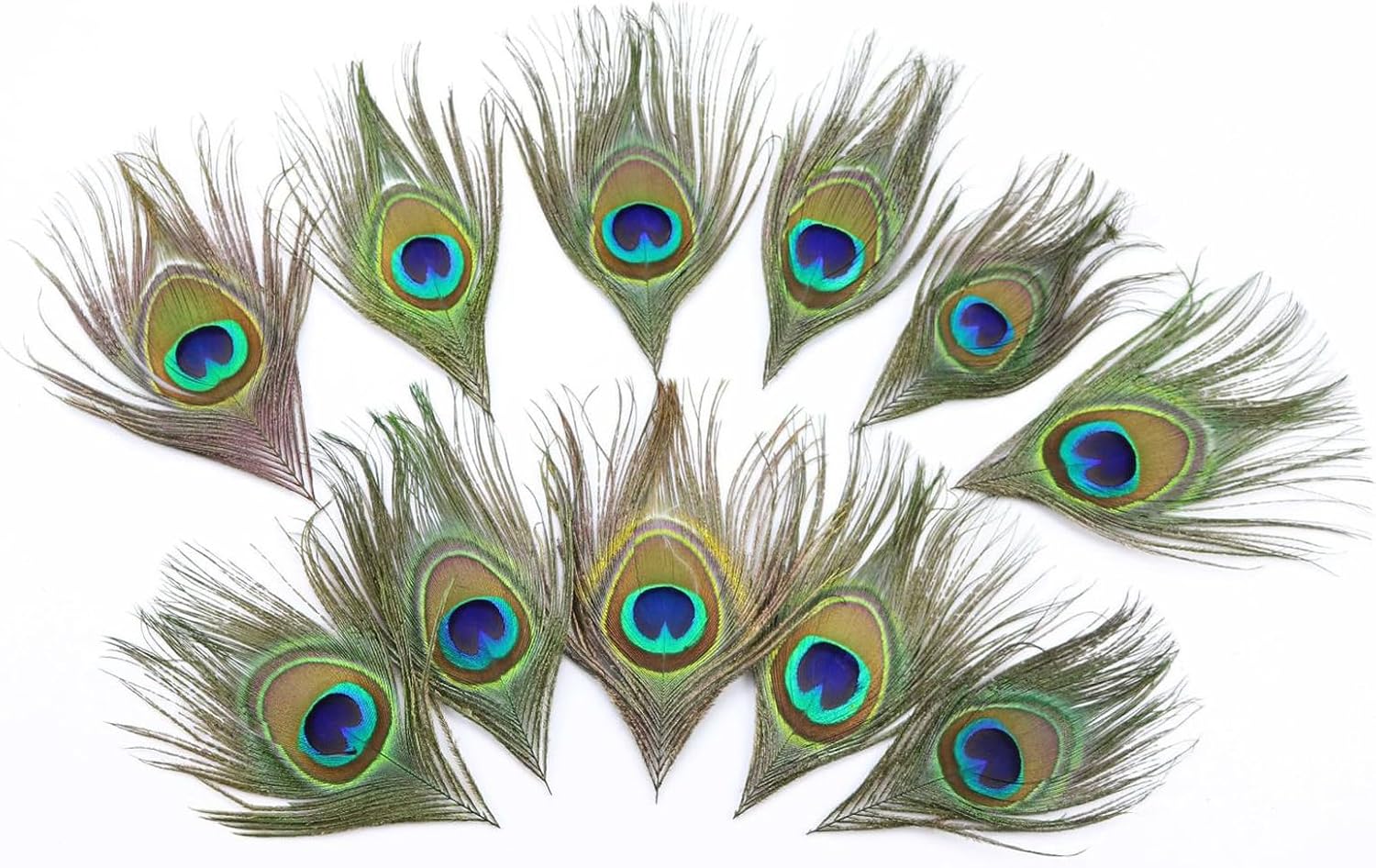20pcs Natural Peacock Feathers Big Eyes Trimmed Peacock Feather for Crafting Dreamcatchers Weddings Floral Cosplay Mask Decor Carnival Holiday Decoration