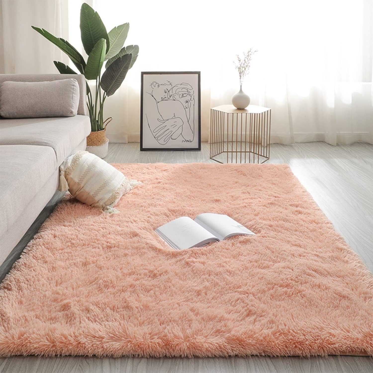 Wlian Super Soft Shaggy Rugs Fluffy Carpets for Bedroom