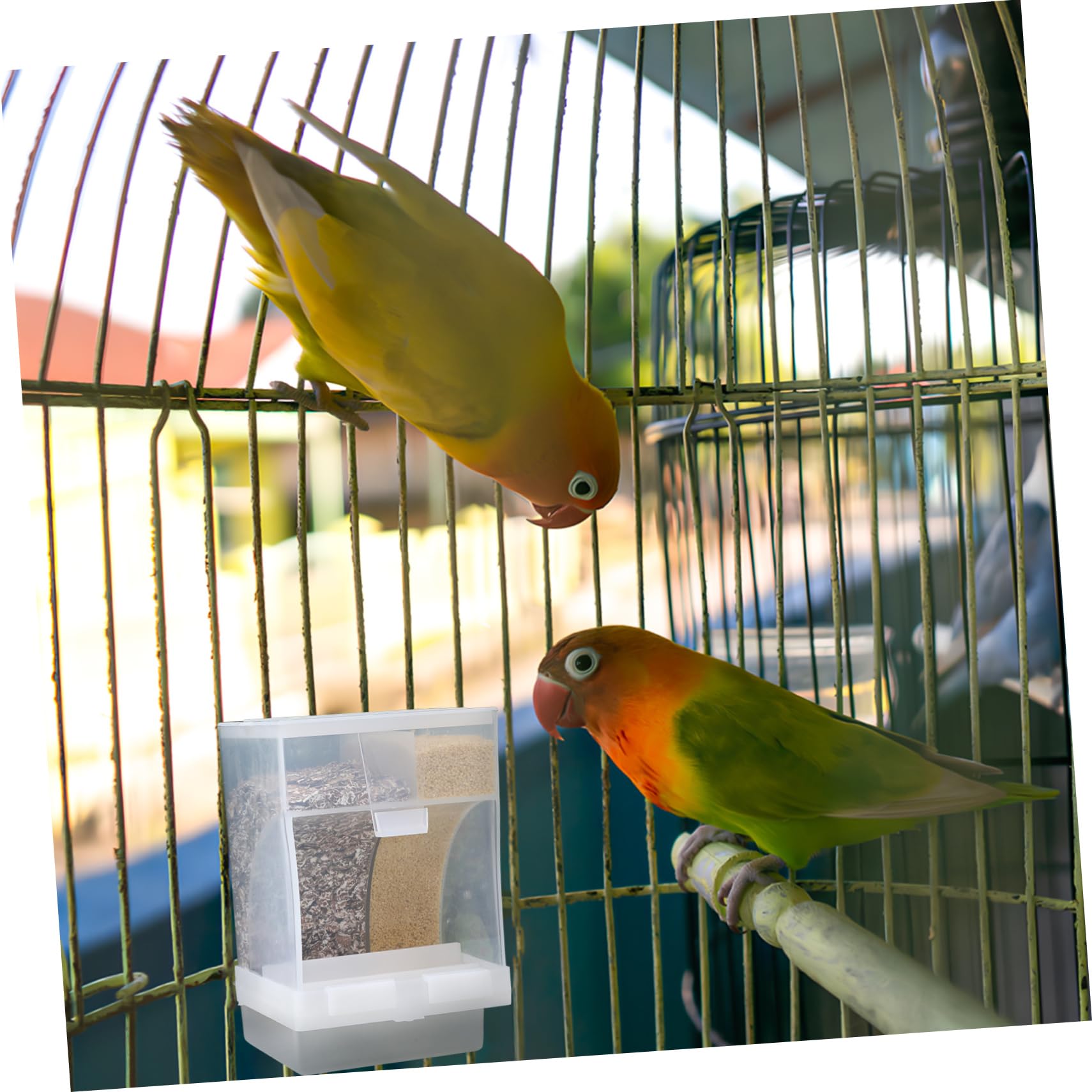 VANZACK 4ensembles Distributeur Automatique pour Oiseaux avec Compartiments Et Cuillère Mangeoire Transparent pour Perroquets Et Oiseaux De Compagnie Accessoire Pratique
