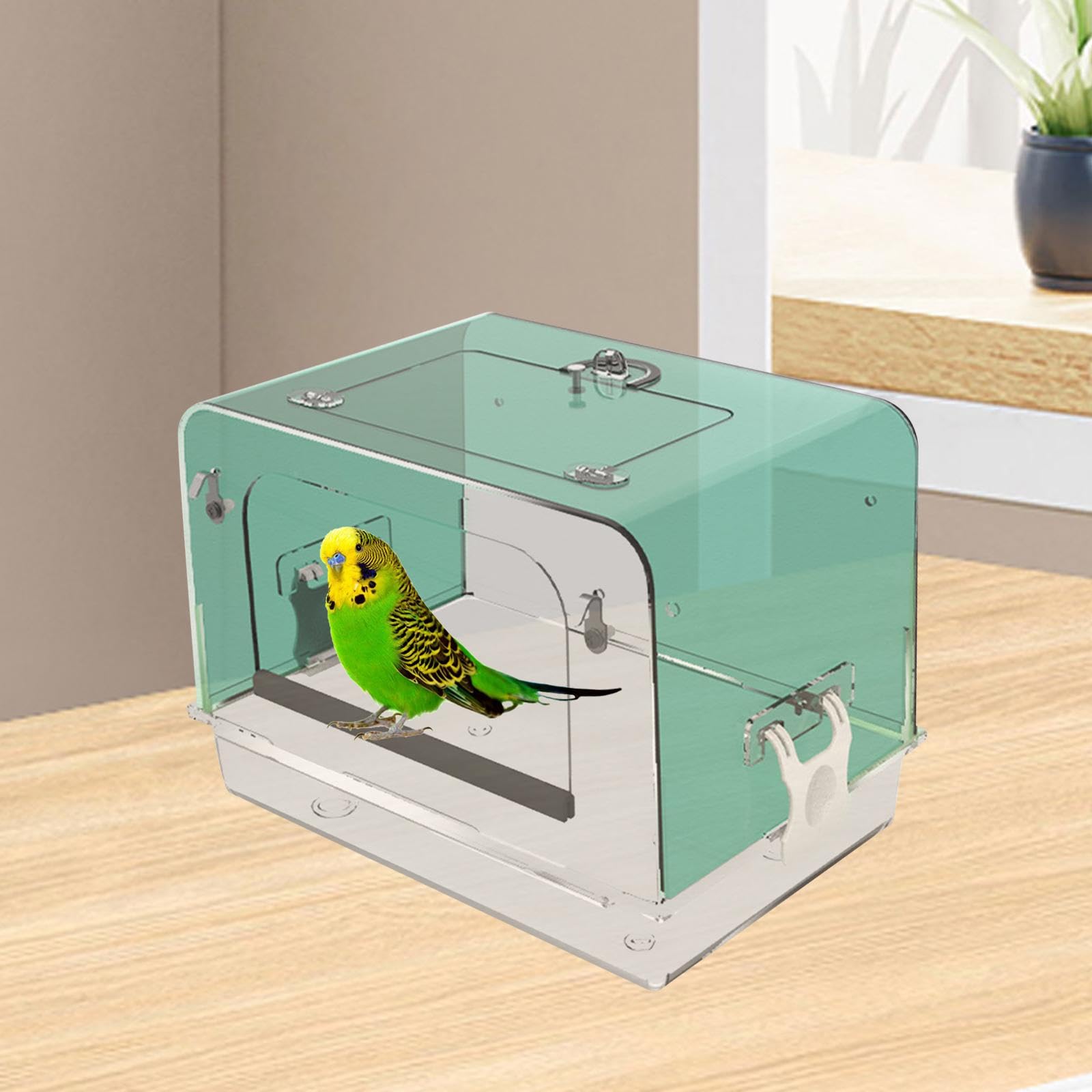 Vasca da Bagno per pappagalli con Ganci, Scatola da Bagno in Gabbia per Uccelli Domestici, Box Doccia per Vasca da Bagno in Acrilico per pappagalli, Verde
