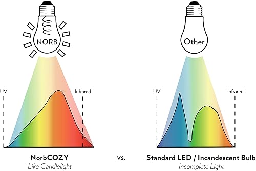 Miniatura 8 de Norb COZY ST19 Bombillas LED  Vidrio transparente de estilo vintage 4W, luz de vela, regulable, base E26 estándar  Luz cálida, acogedora y relajante