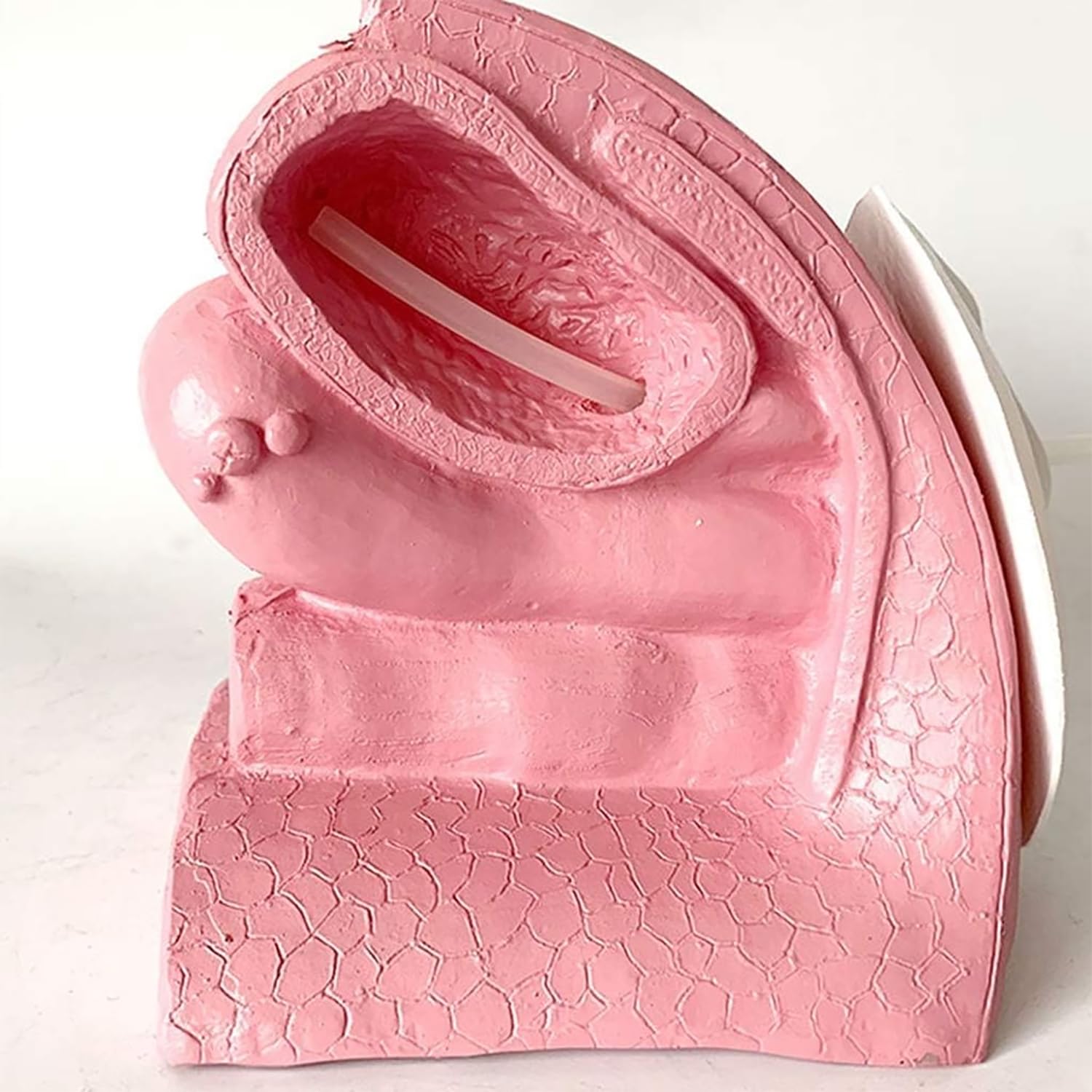 Modello Di Cateterismo Femminile O Maschile, Simulatore Di Modello Di Contraccezione Con Base Antiscivolo, Design Ad Alta Simulazione E Chiara Struttura, Per L'insegnamento Della Pianificazione