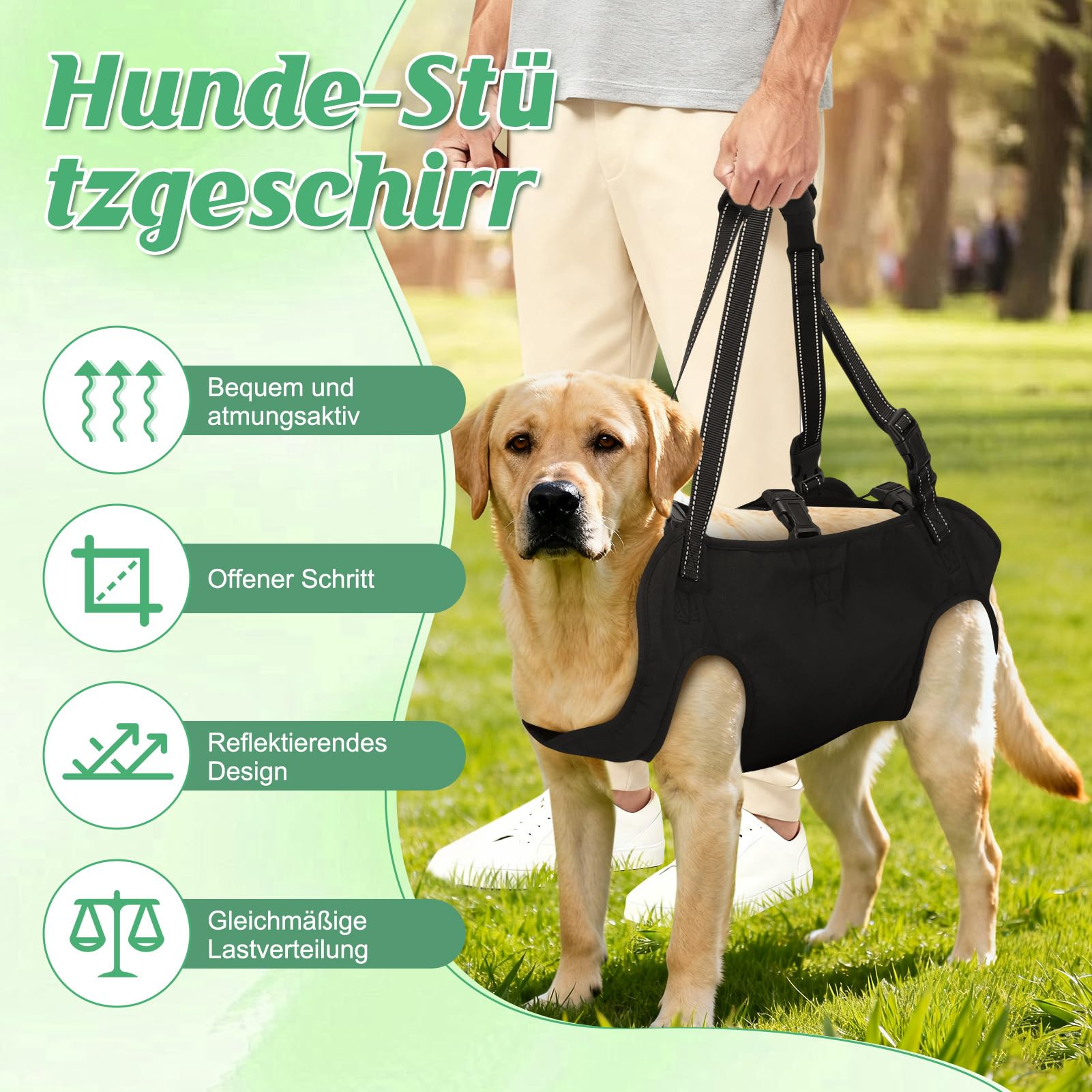 Arnés para perros con mango suave, correa ajustable, tela Oxford transpirable, para exteriores (L)