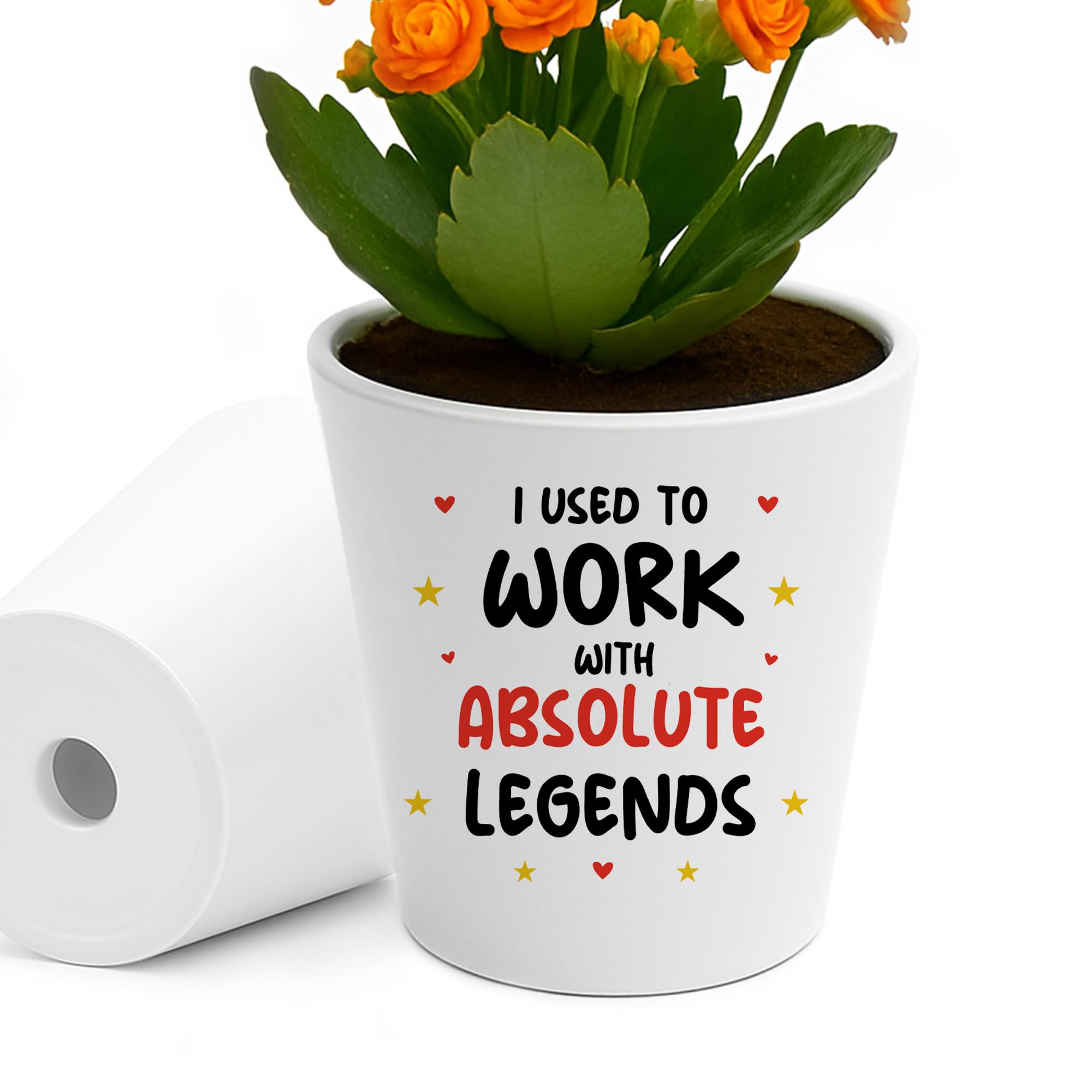 RED OCEAN Funny For Colleague Plant Pot New Job Leaving Present For Colleague Him Her Co Worker Present Joke Colleagues