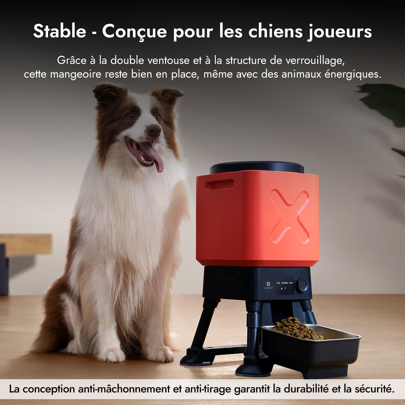 Molly&Cody Distributeur Automatique Croquette, 14L Grande Capacité Alimentateur Gamelle Automatique pour Animaux, Programmer 6 Repas, Acier Inoxydable Idéal pour Les Grands Chiens