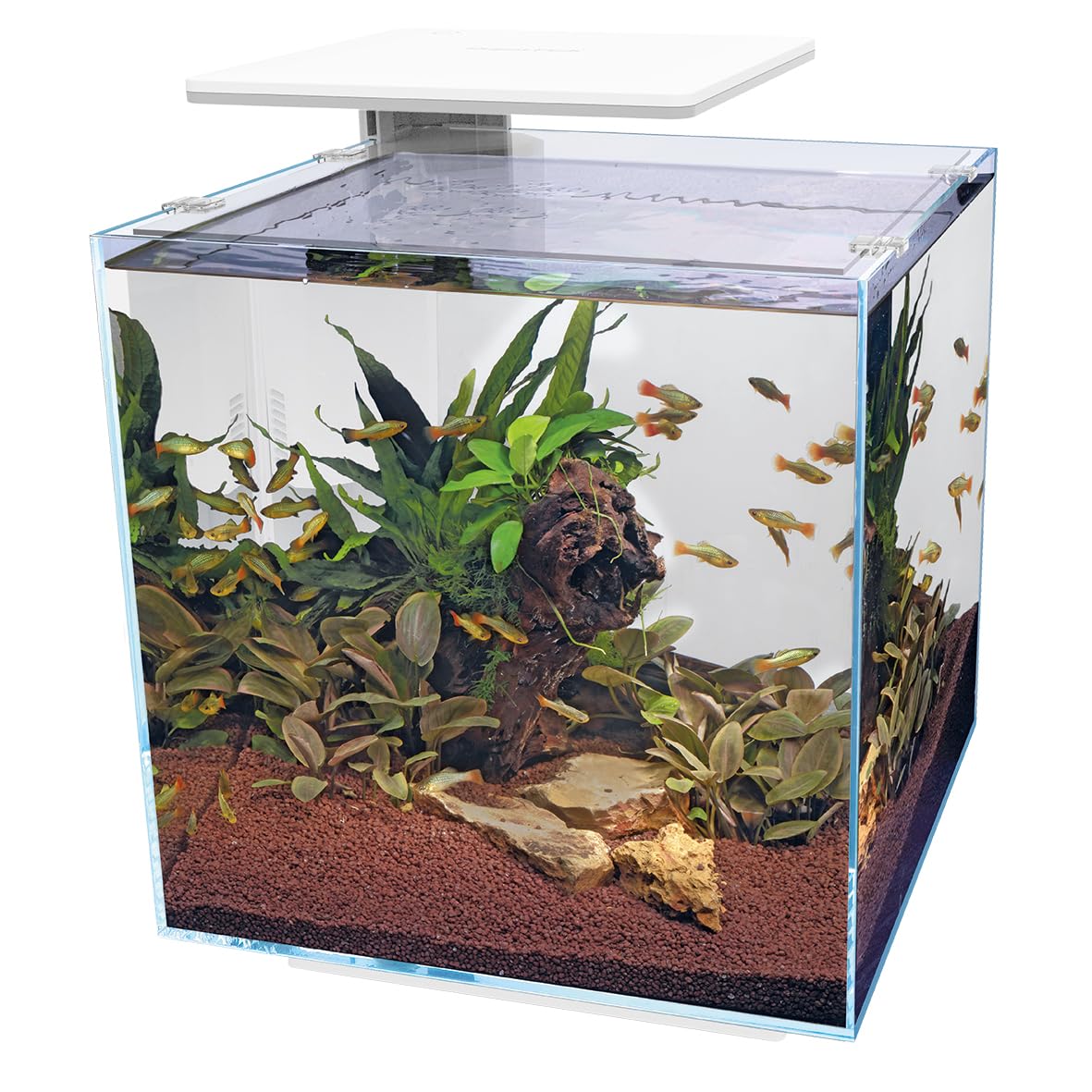 Superfish Qubiq Pro 60 Litres Aquarium White