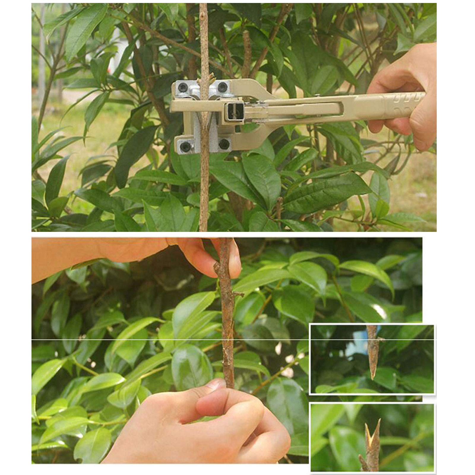 Attrezzi da Giardino Innesto Pruner Kit Chopper Albero Pianta Shears Scissor Graft con Film Tape Garden Tools, Alto Tasso di Sopravvivenza, Facile da Usare