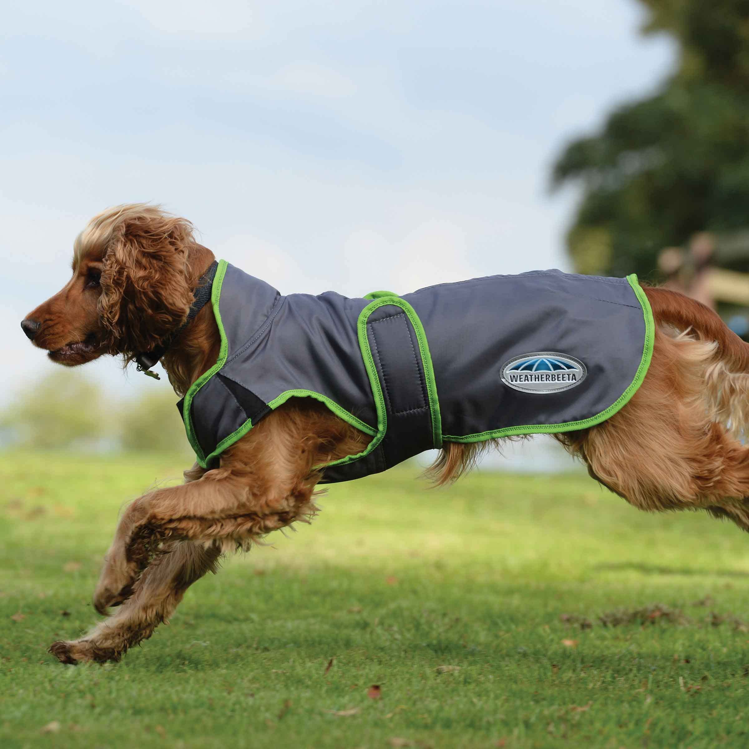 WeatherBeeta Hundemantel ComFiTec Windbreaker Free - 30 cm - Dunkelblau-Silber