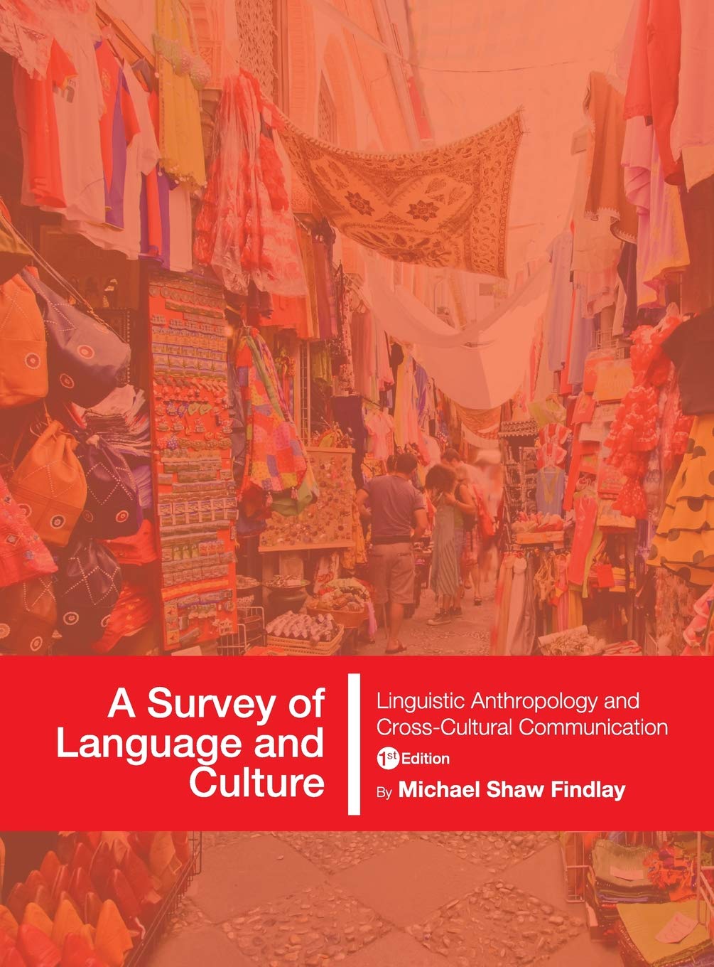 A Survey of Language and Culture