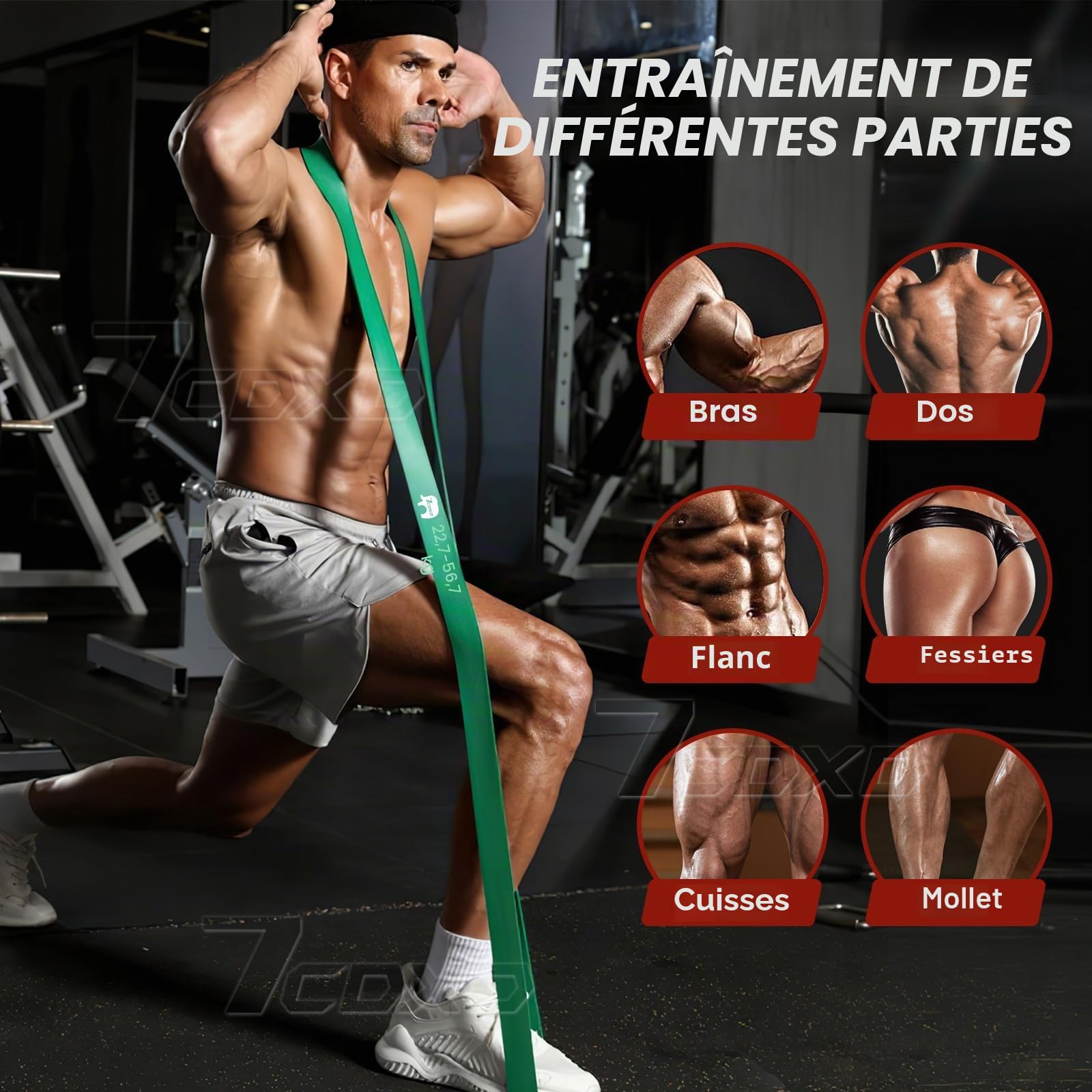 Ensemble de Bandes de Résistance, Bandes de Traction à 6 Niveaux avec Poignées, Ancrage de Porte, Sac de Rangement, Bandes d'exercice pour Entraînement au Poids du Corps, Dynamophilie