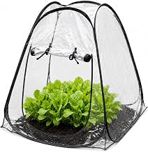 Mini Pop Up Greenhouse, Clear PVC, Portable Plant Protector, Zip Roll-Up Door, with Carry Bag, H80 x W70 x D70cm