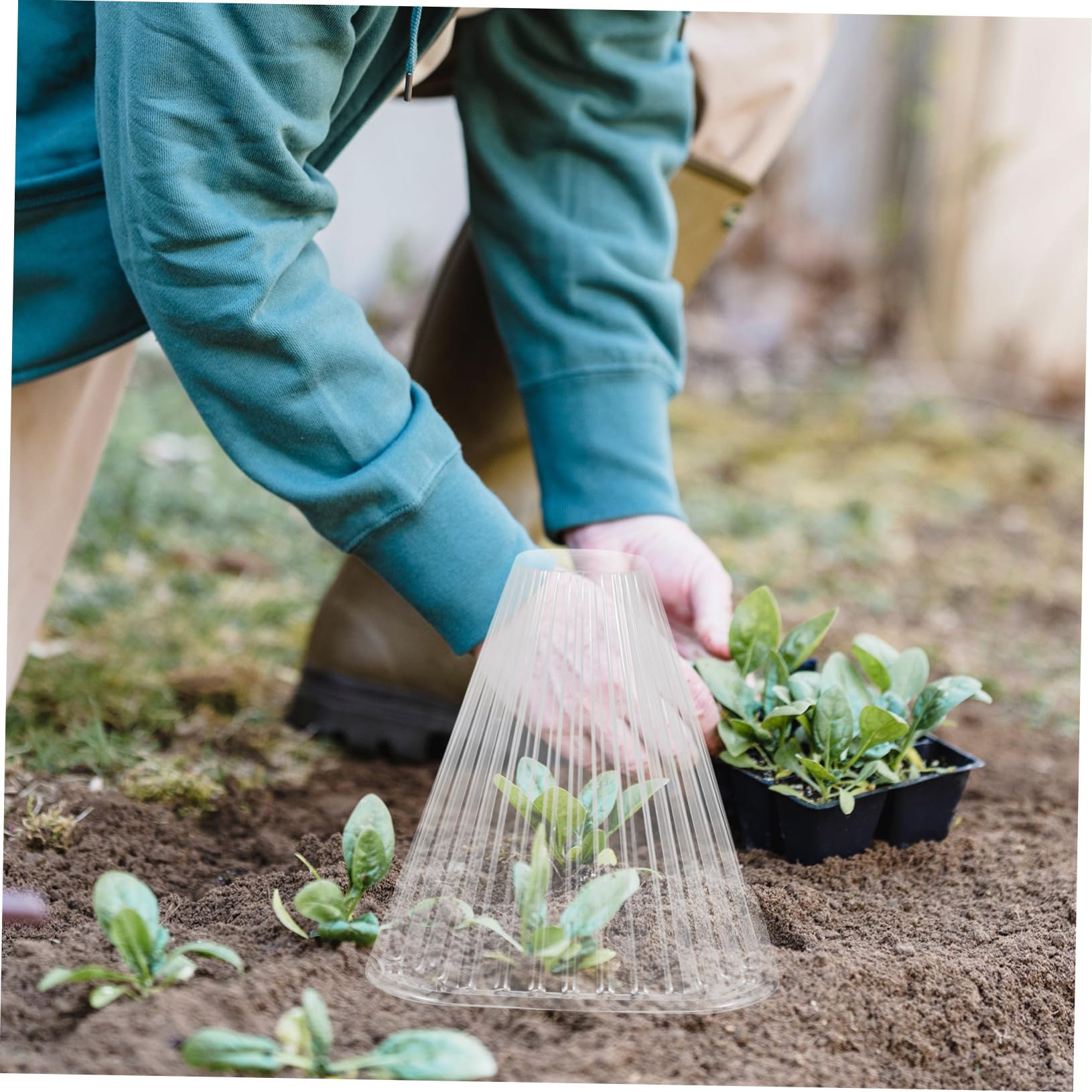 10pièces Cloche De pour Plantes De Transparent avec Ventilation pour Et Gel Chaleur Jardin