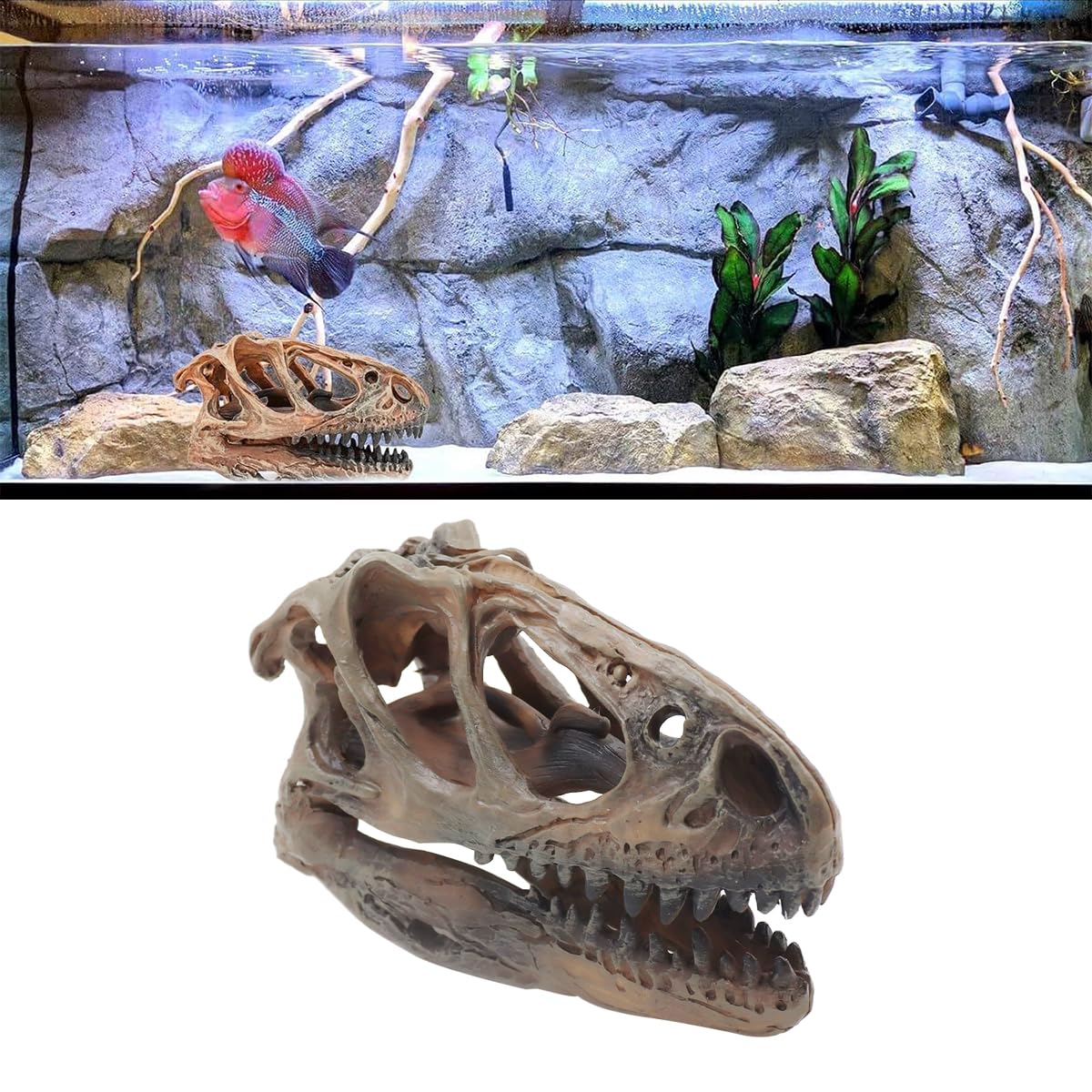 Ludom Crâne de Tyrannosaure en résine - Crâne de dinosaure pour cachette de poisson - Aquarium - Terrarium - Accessoires photo - Outil éducatif - Décoration d'intérieur