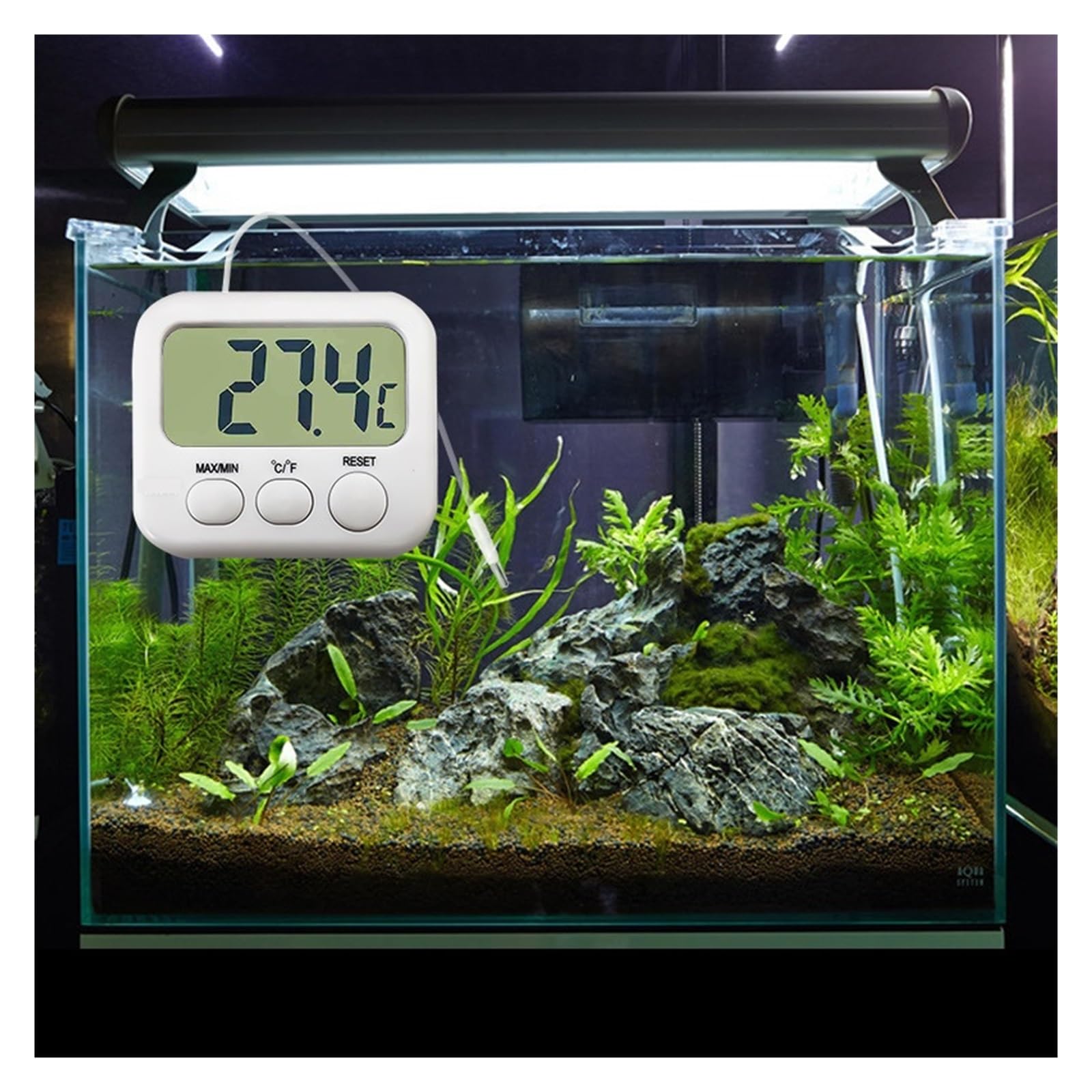 Stacja stojąca LCD Mini lodówka do akwarium Cyfrowy termometr z czujnikiem sondy Basen
