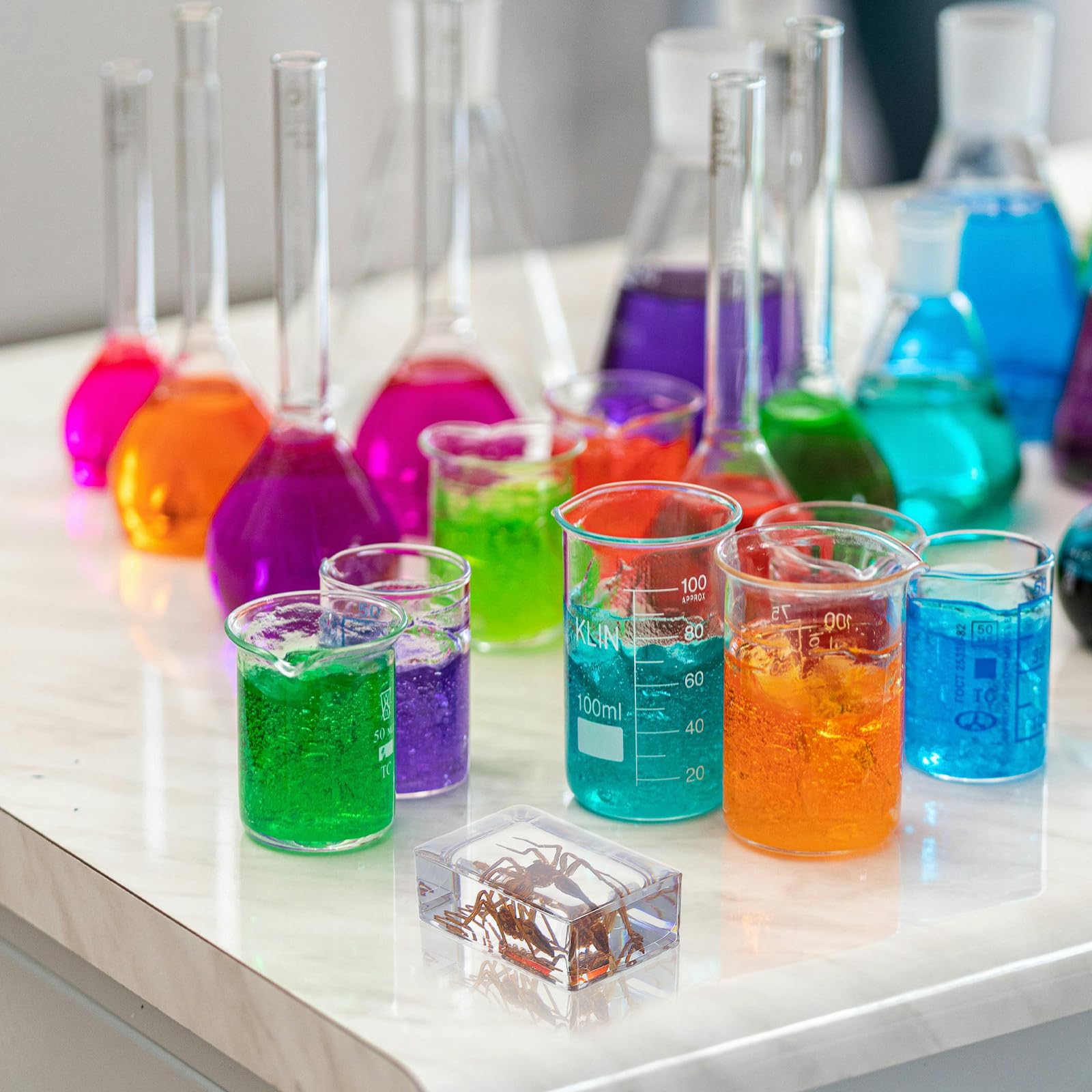 Set da 6 Pezzi di Insetti in Resina per Collezione e Decorazione da Scrivania, Esemplari Conservati Artigianato Elegante per Educazione Scientifica e Arredamento Casa