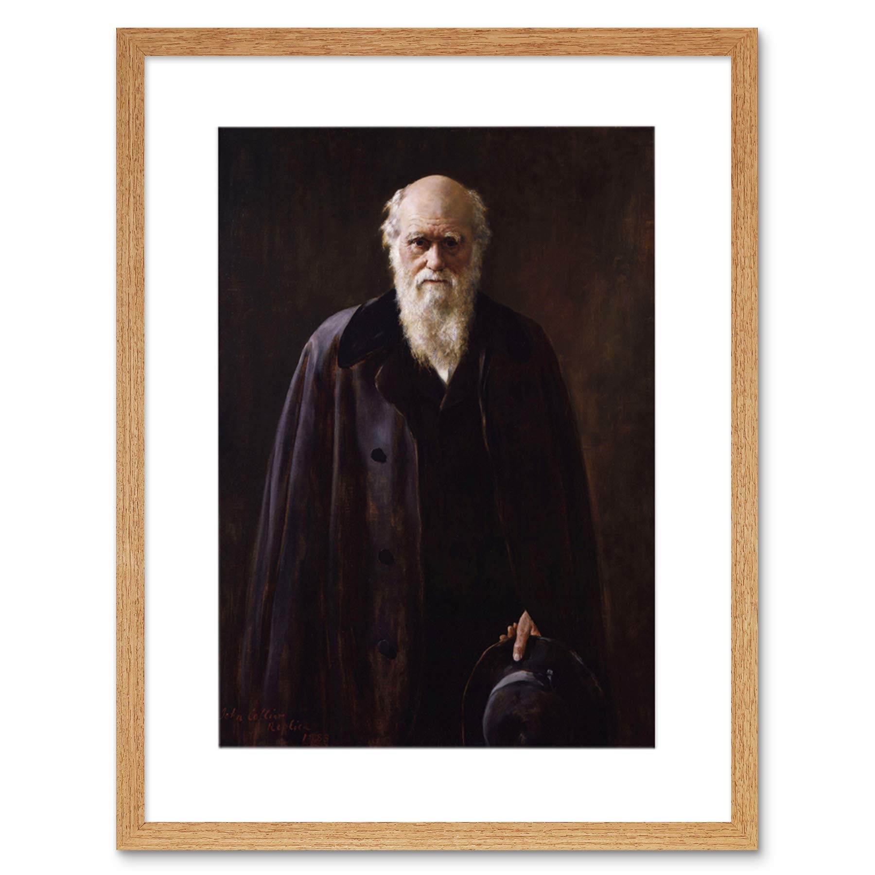 Wee Blue Coo Painting Collier Portrait Scientist Charles Darwin Framed Wall Art Print