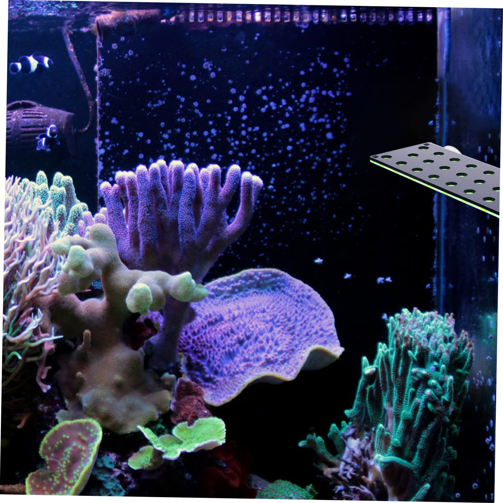 YARNOW Support à Boutures de Corail Aquarium 23 Trous Double Couche | Acrylique, pour Coraux Marins et Fragments Cassés, Placement et Fixation Ferme