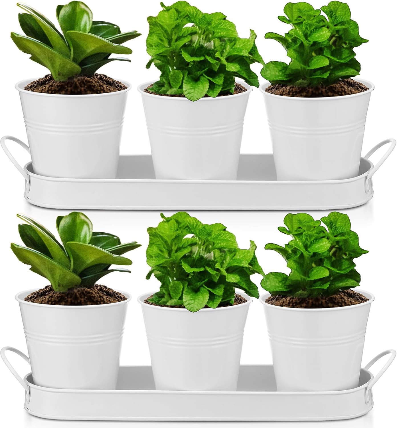 Hicarer 2 Sets Herb Planter with Tray Metal Herb Garden Planter with Drainage Farmhouse Windowsill Pots for Indoor Plants Flower Succulent Outdoor Kitchen Apartment Balcony Window (Green)