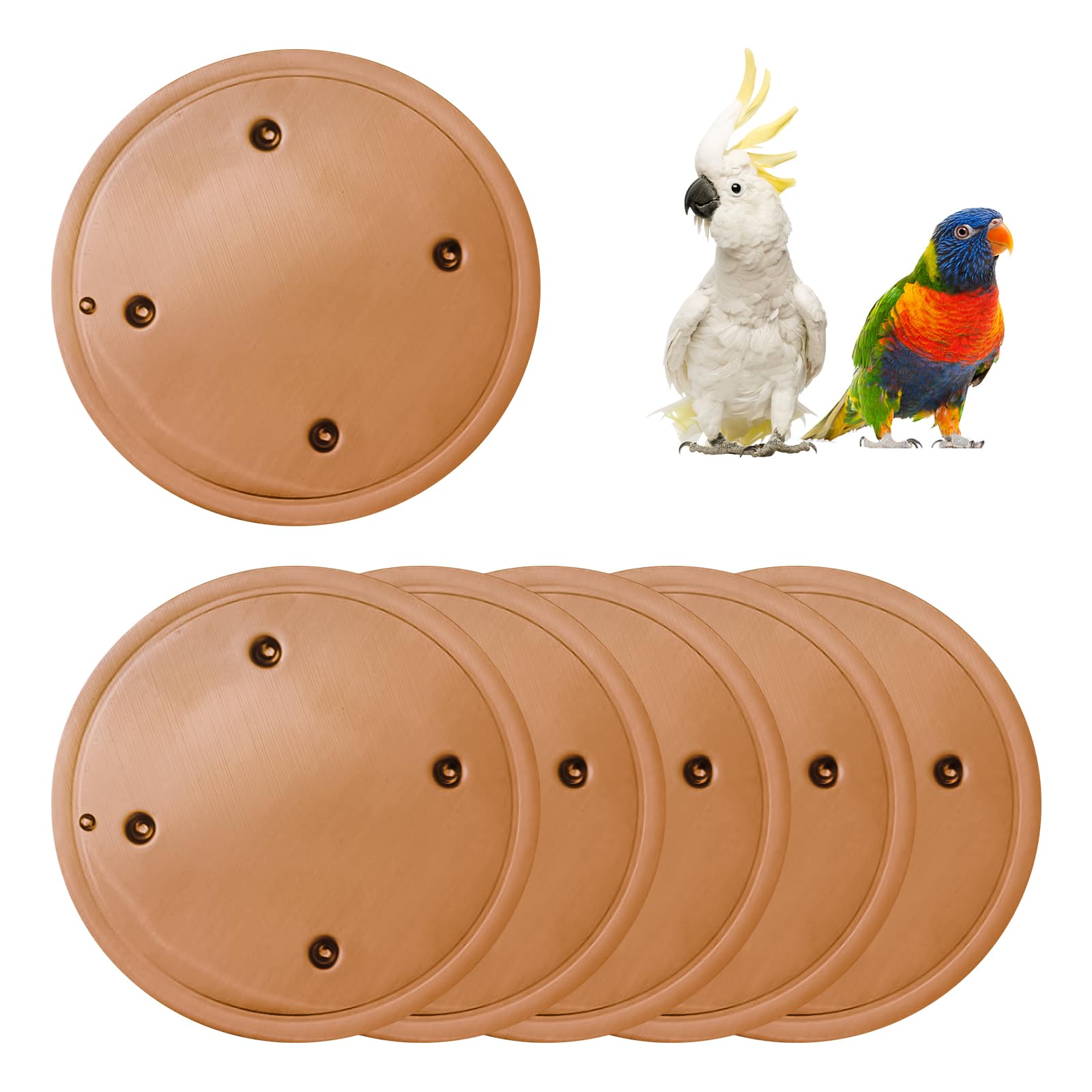 Lot de 6 disques de purification pour bain d'oiseaux, 99,99 % cuivre pur, 0,6 mm, garde l'eau propre et fraîche pour intérieur extérieur, jardin, cour, terrasse
