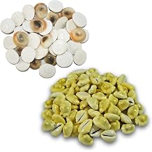 BRIJ HAAT Natural 30 Pcs gomati Chakra | 30 Pcs Yellow Kaudi, for Wealth, Health & Success