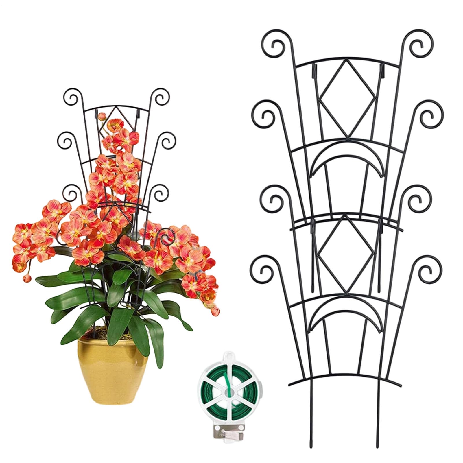 Treillis de jardin pour Monstera et pothos - Support plantes grimpantes extérieur