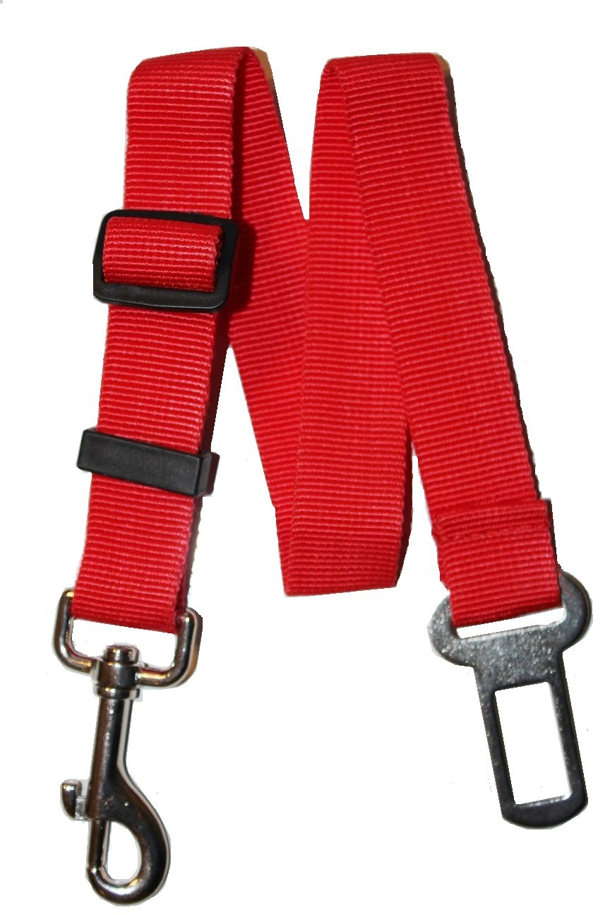 What States Require Seat Belts For Dogs