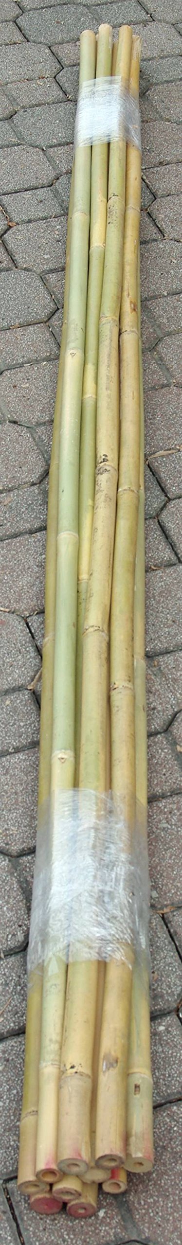 CANNE IN BAMBOO PER SOSTEGNO ORTAGGI E ALTRI USI DA CM 210 IN CONFEZIONE DA 10 CANNE