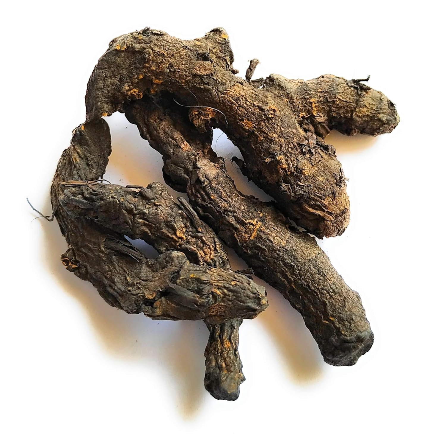 Generic Kali Haldi - Organic Black Turmeric Root for Well-being Pack of 100 grams