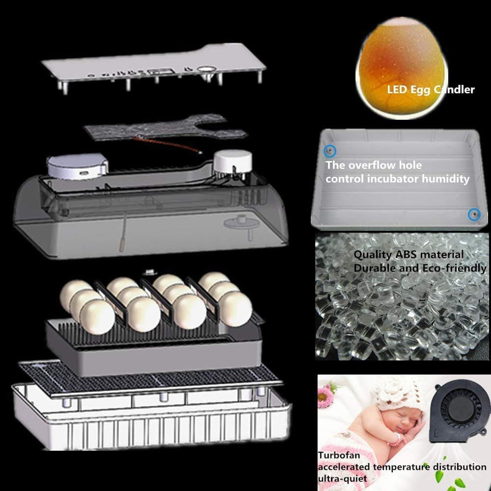 Incubatrice 12 Uova Incubatrice Uova di Tartaruga Allevatrice Rettili Allevatrice Termostatica Tartarughe con Girauova Automatico Coperchio Visibile Display LED Digitale(12 Eggs)