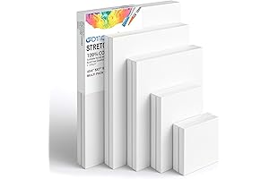 GOTIDEAL Stretched Canvas, Blank Slate to Capture Your Creativity